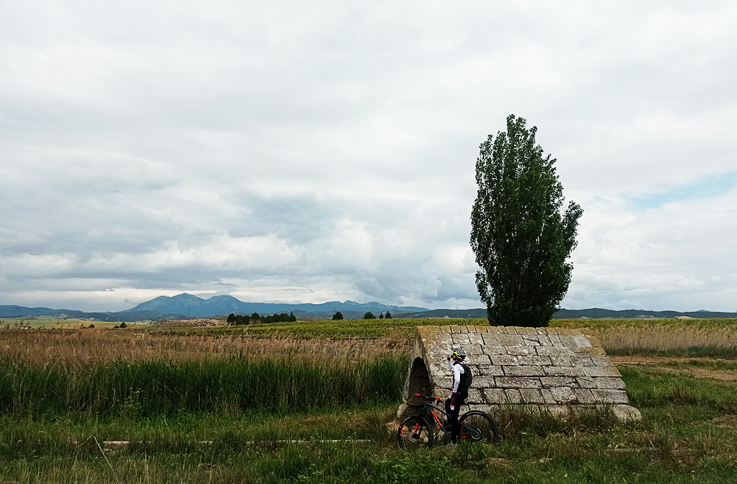 Fuente de piedra